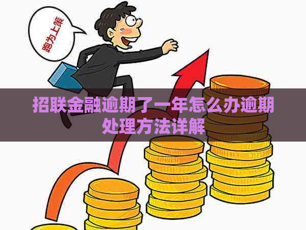 招联金融逾期了一年怎么办逾期处理方法详解