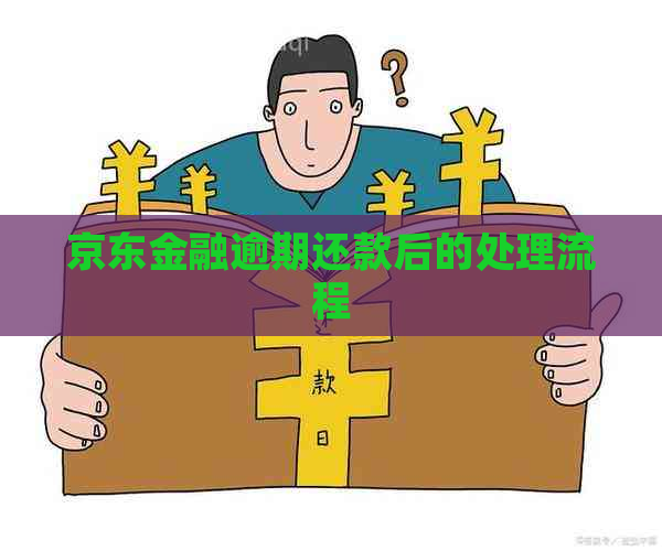 京东金融逾期还款后的处理流程