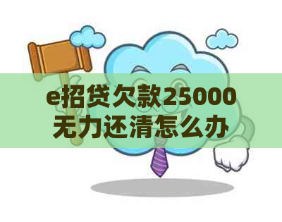 e招贷欠款25000无力还清怎么办