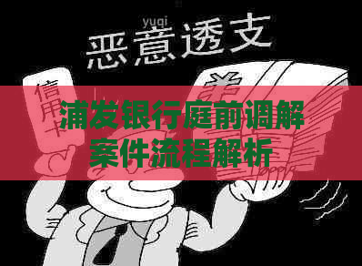 浦发银行庭前调解案件流程解析