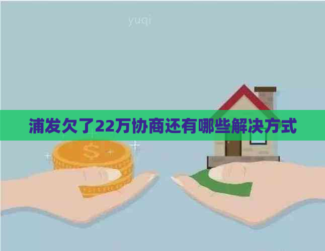 浦发欠了22万协商还有哪些解决方式