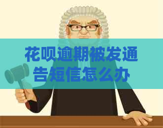 花呗逾期被发通告短信怎么办