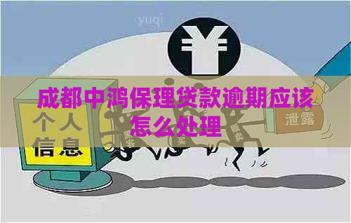 成都中鸿保理贷款逾期应该怎么处理