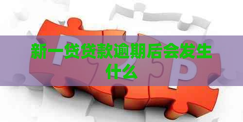 新一贷贷款逾期后会发生什么