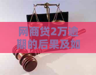 网商贷2万逾期的后果及如何解决