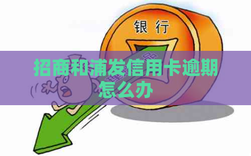 招商和浦发信用卡逾期怎么办