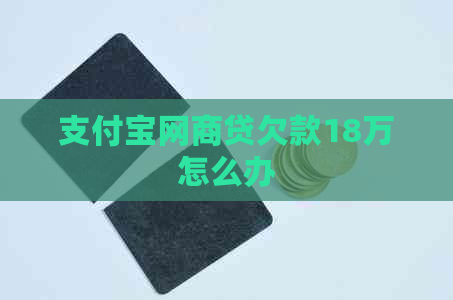 支付宝网商贷欠款18万怎么办