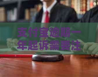 支付宝逾期一年起诉需要注意什么