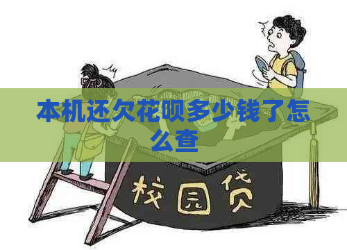 本机还欠花呗多少钱了怎么查