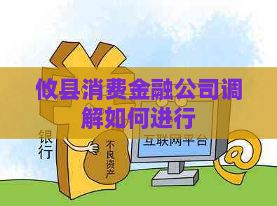 攸县消费金融公司调解如何进行