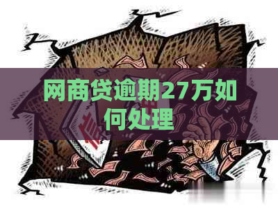 网商贷逾期27万如何处理