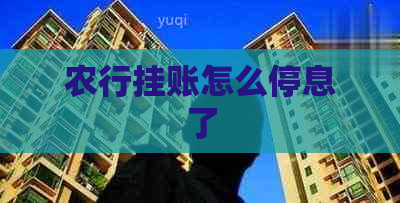 农行挂账怎么停息了