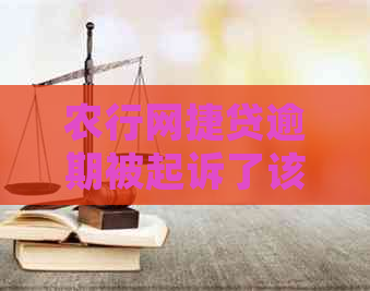 农行网捷贷逾期被起诉了该怎么办