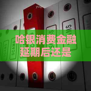 哈银消费金融延期后还是还不上怎么办