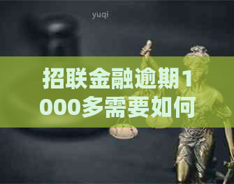 招联金融逾期1000多需要如何处理