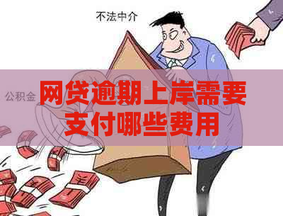 网贷逾期上岸需要支付哪些费用