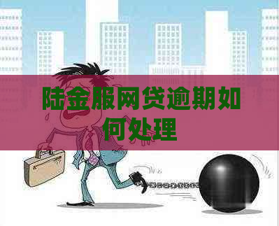 陆金服网贷逾期如何处理