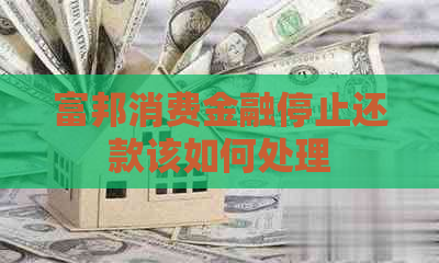 富邦消费金融停止还款该如何处理