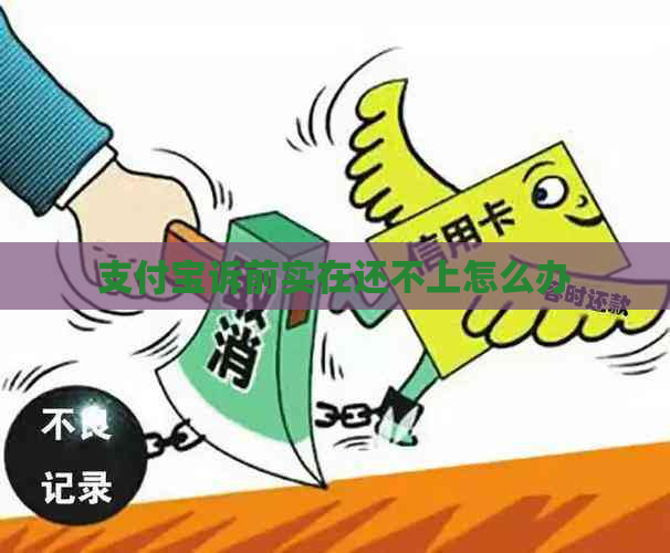 支付宝诉前实在还不上怎么办