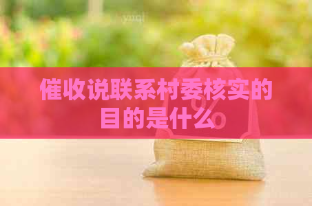 说联系村委核实的目的是什么