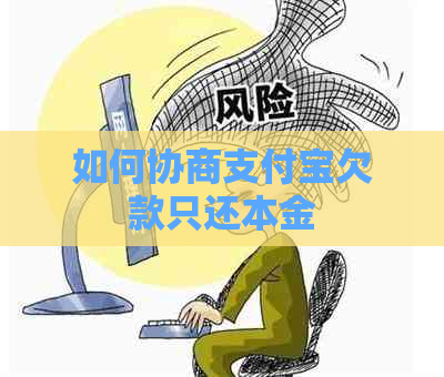 如何协商支付宝欠款只还本金