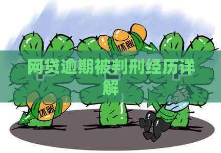 网贷逾期被判刑经历详解