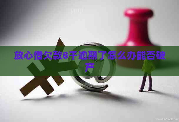 放心借欠款8千逾期了怎么办能否破产