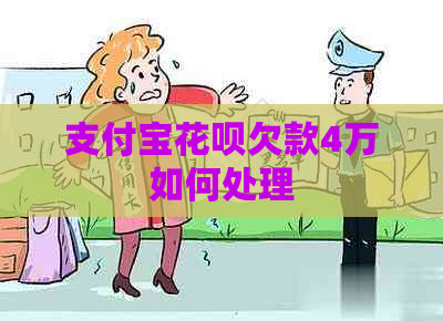 支付宝花呗欠款4万如何处理