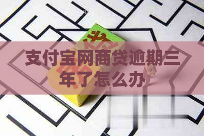 支付宝网商贷逾期三年了怎么办