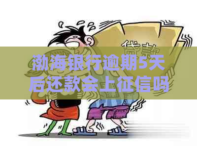 渤海银行逾期5天后还款会上吗