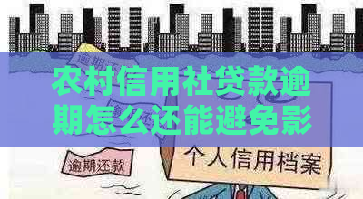 农村信用社贷款逾期怎么还能避免影响信用记录