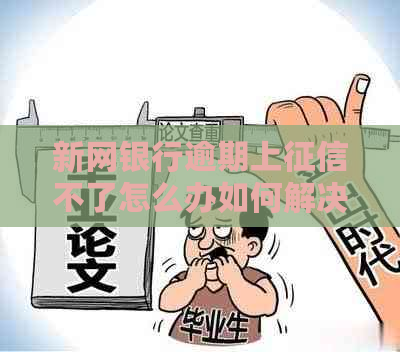 新网银行逾期上不了怎么办如何解决