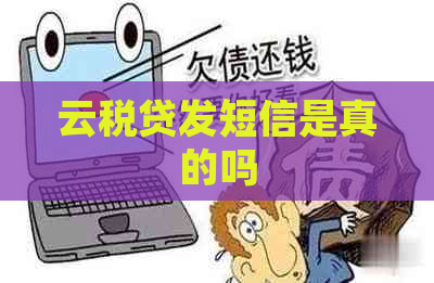 云税贷发短信是真的吗