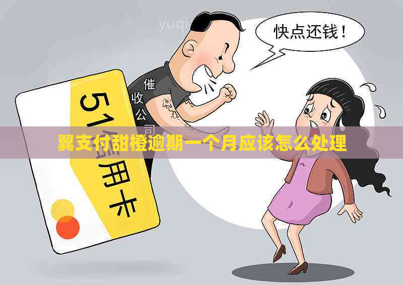 翼支付甜橙逾期一个月应该怎么处理