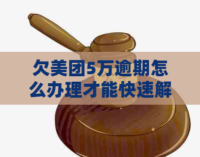 欠美团5万逾期怎么办理才能快速解决