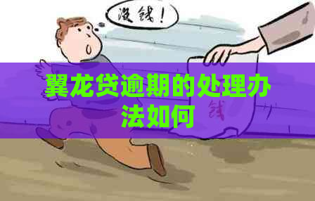 翼龙贷逾期的处理办法如何