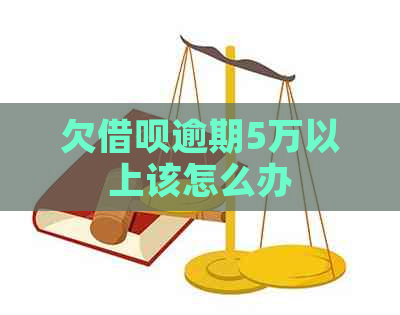 欠借呗逾期5万以上该怎么办