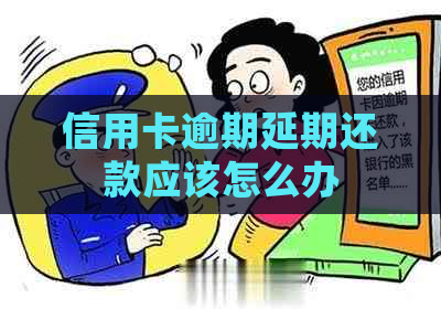 信用卡逾期延期还款应该怎么办