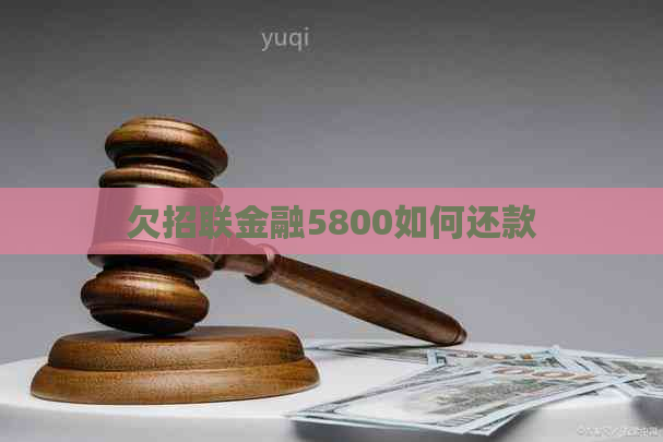 欠招联金融5800如何还款