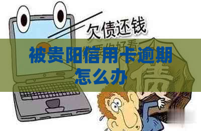 被贵阳信用卡逾期怎么办