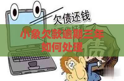 小象欠款逾期三年如何处理