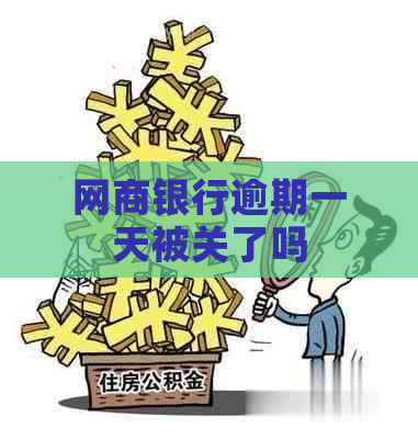 网商银行逾期一天被关了吗