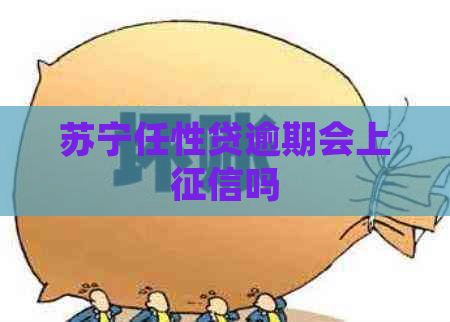 苏宁任性贷逾期会上吗