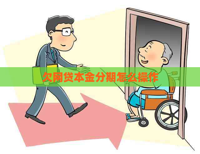 欠网贷本金分期怎么操作