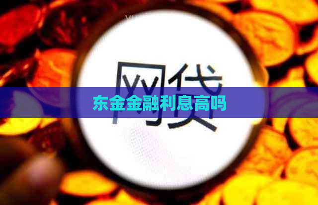 东金金融利息高吗