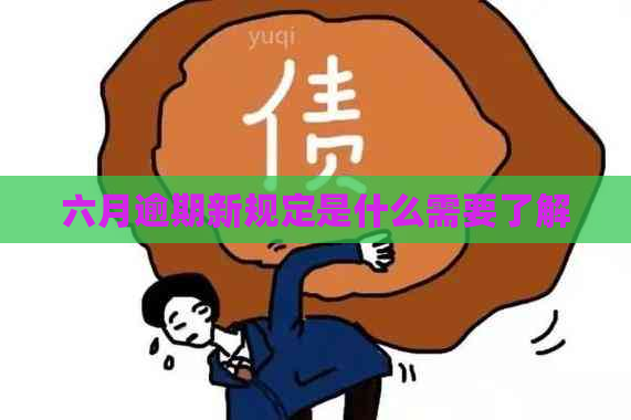 六月逾期新规定是什么需要了解