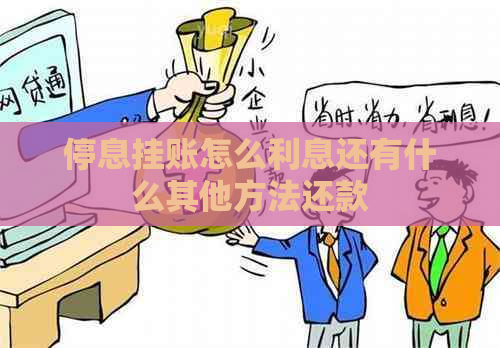 停息挂账怎么利息还有什么其他方法还款