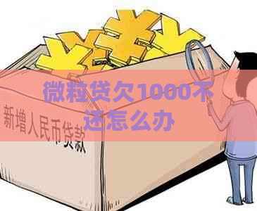 微粒贷欠1000不还怎么办