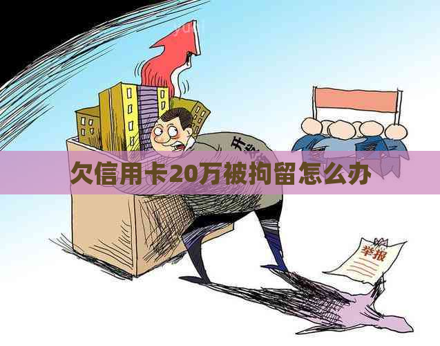 欠信用卡20万被拘留怎么办