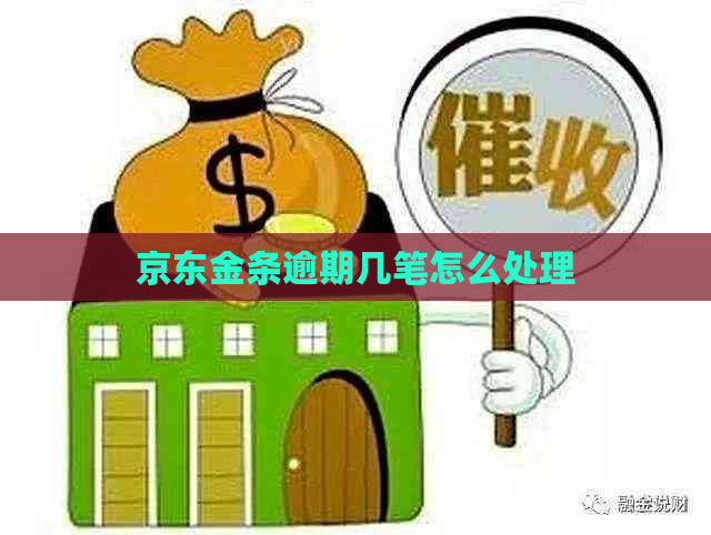 京东金条逾期几笔怎么处理